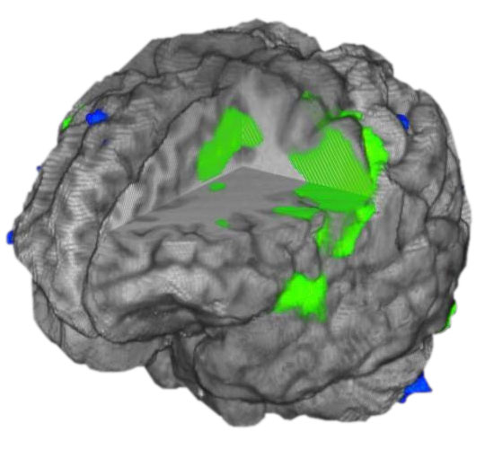 BrainWave