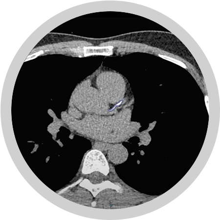 CardIQ Suite